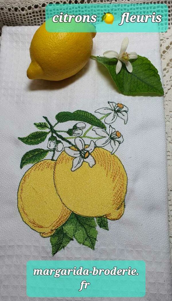 Margarida Broderie - Motifs machines à broder, broderie, FSL, ITH, Appliqués, Redwork, Motifs gratuits - Citrons fleuris